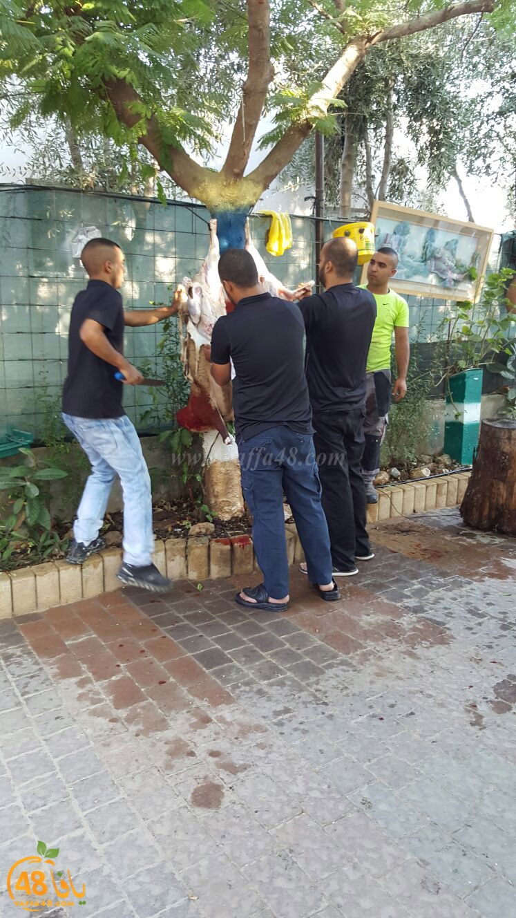 dab7 ada7y wu3ed (7).jpg